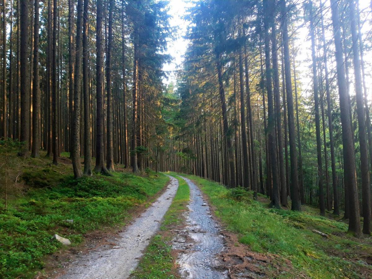 #Apt23 - Apartman 23 - Novohradske Hory Benesov nad Cernou Esterno foto
