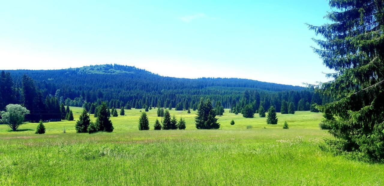 #Apt23 - Apartman 23 - Novohradske Hory Benesov nad Cernou Esterno foto