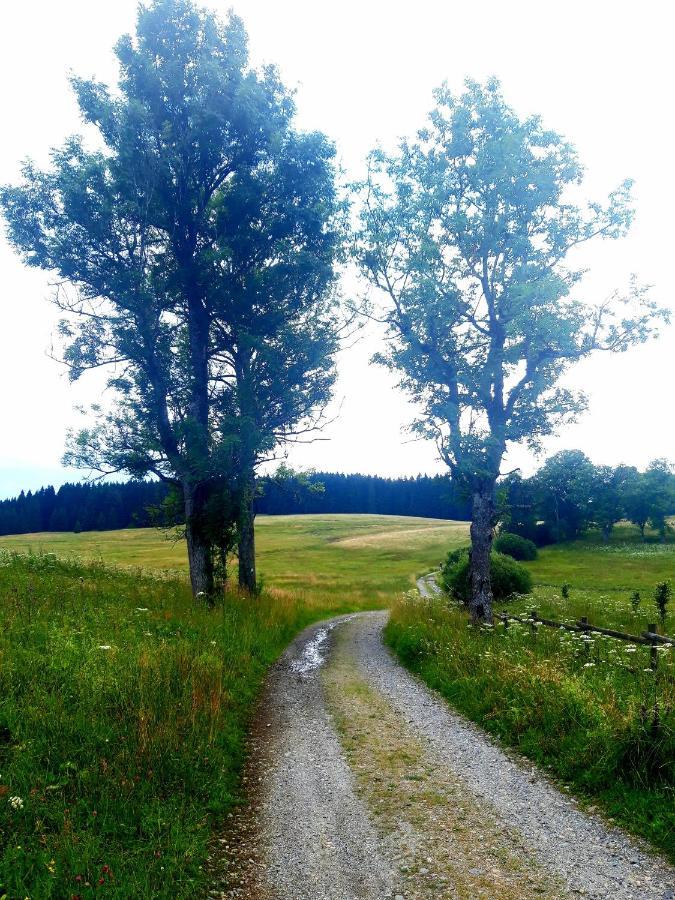#Apt23 - Apartman 23 - Novohradske Hory Benesov nad Cernou Esterno foto
